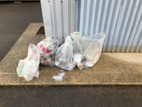 美化活動、ごみ